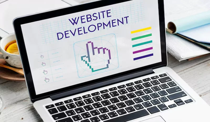 jasa website belu