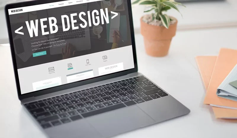 jasa website lembata