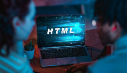 Jasa Website Tanjung Pinang