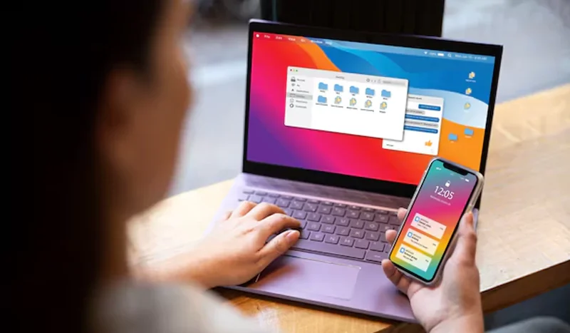 jasa website pariaman