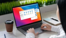 jasa website sabu raijua